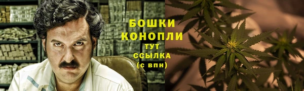 трава Абаза