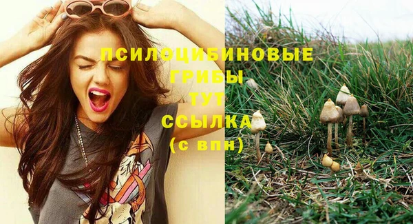 трава Абаза