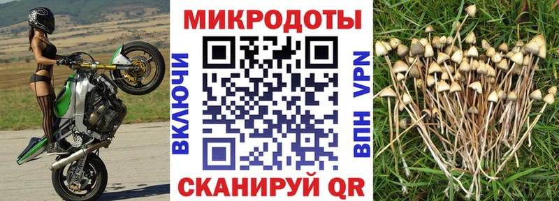 Псилоцибиновые грибы Psilocybe  где купить наркоту  Орёл 