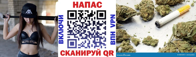 Канабис SATIVA & INDICA  Орёл 